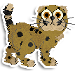 Kitten with cheetah tearmarks and spots